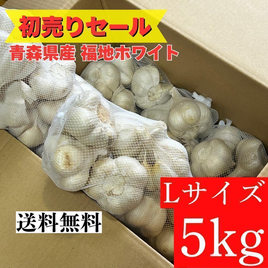 【初売りセール】青森県 福地ホワイト にんにく L 5kg 加工 種にんにく