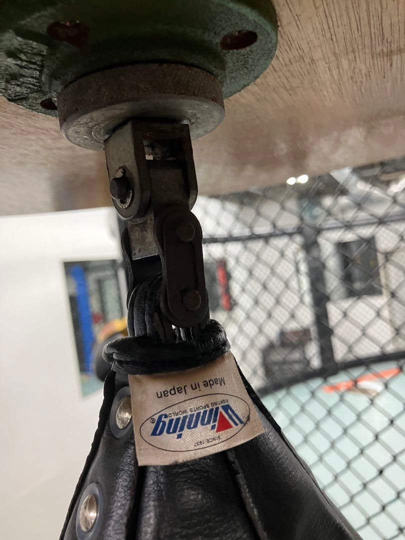 winning(ウイニング) パンチングボールドラム(大型)