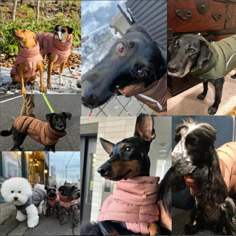 Dog Coat Alaska ドッグコート アラスカ Light Olive