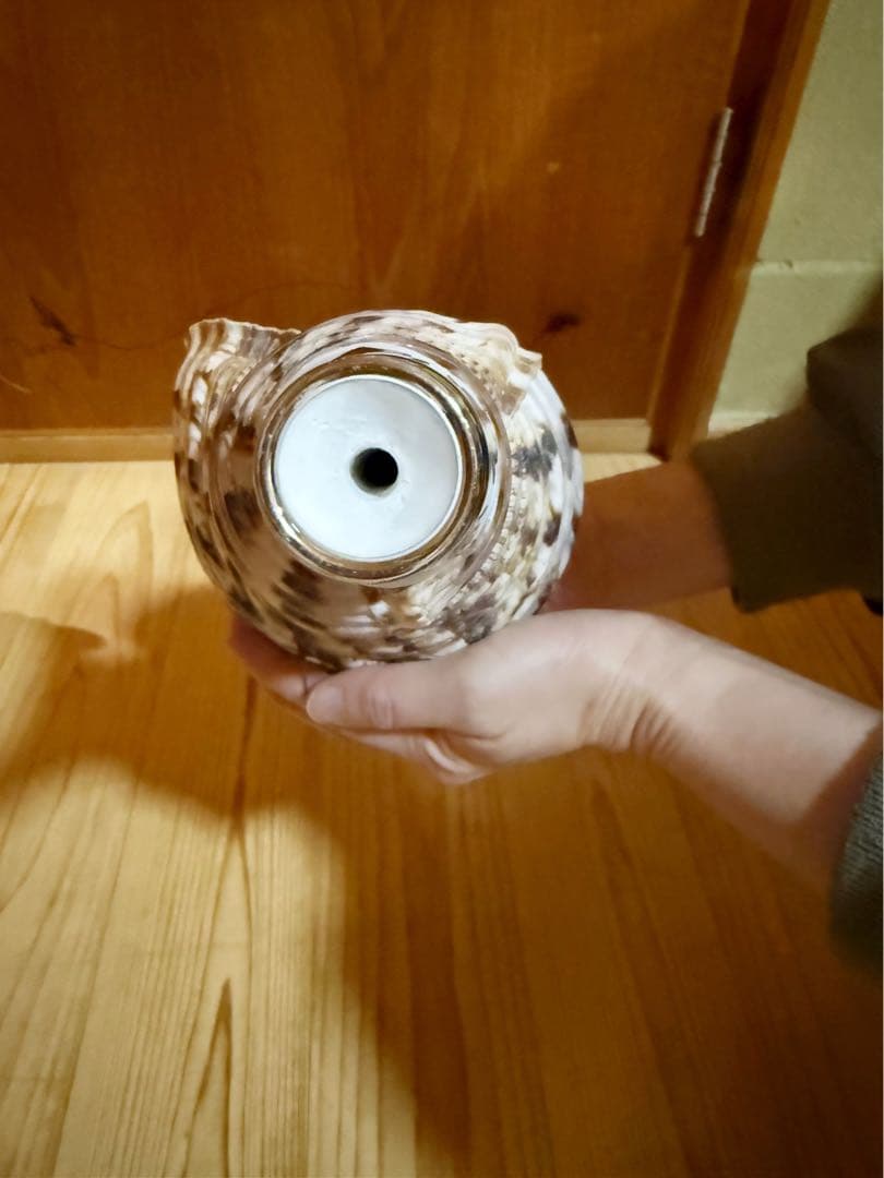 修験道法螺貝　山伏　密教　熊よけ　魔除け❣️ホラガイ　ほら貝