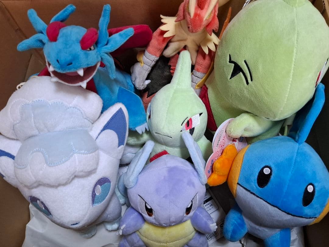 ポケットモンスター ポケモン まとめ売り ぬいぐるみ