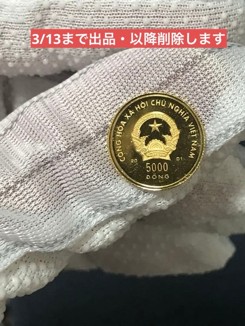 ベトナムドン　ベトナム 「巳年」5000ドン金貨　(セール中)