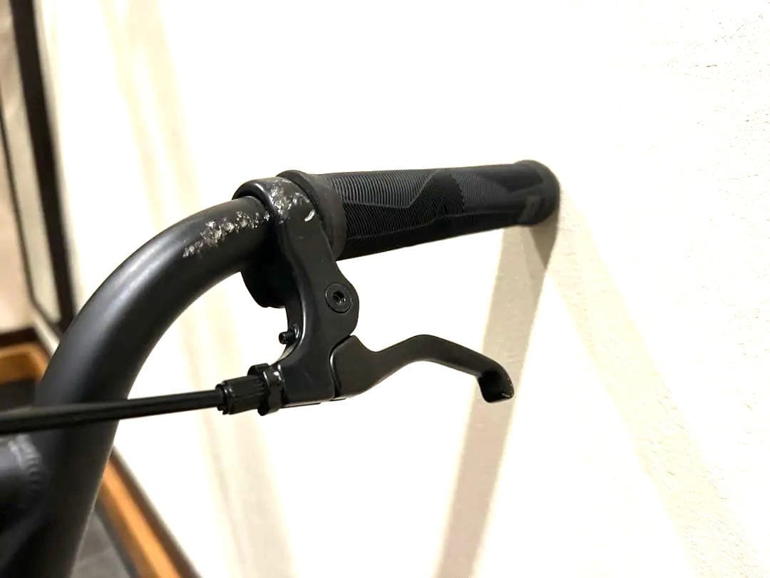 送料込み！2018 WETHEPEOPLE Reason FC 20インチBMX