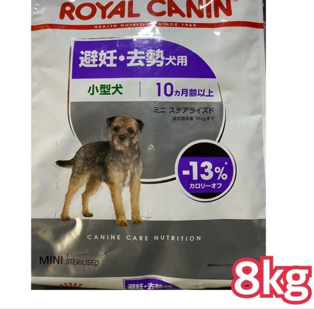  CANIN ミニステアライズド 8kg