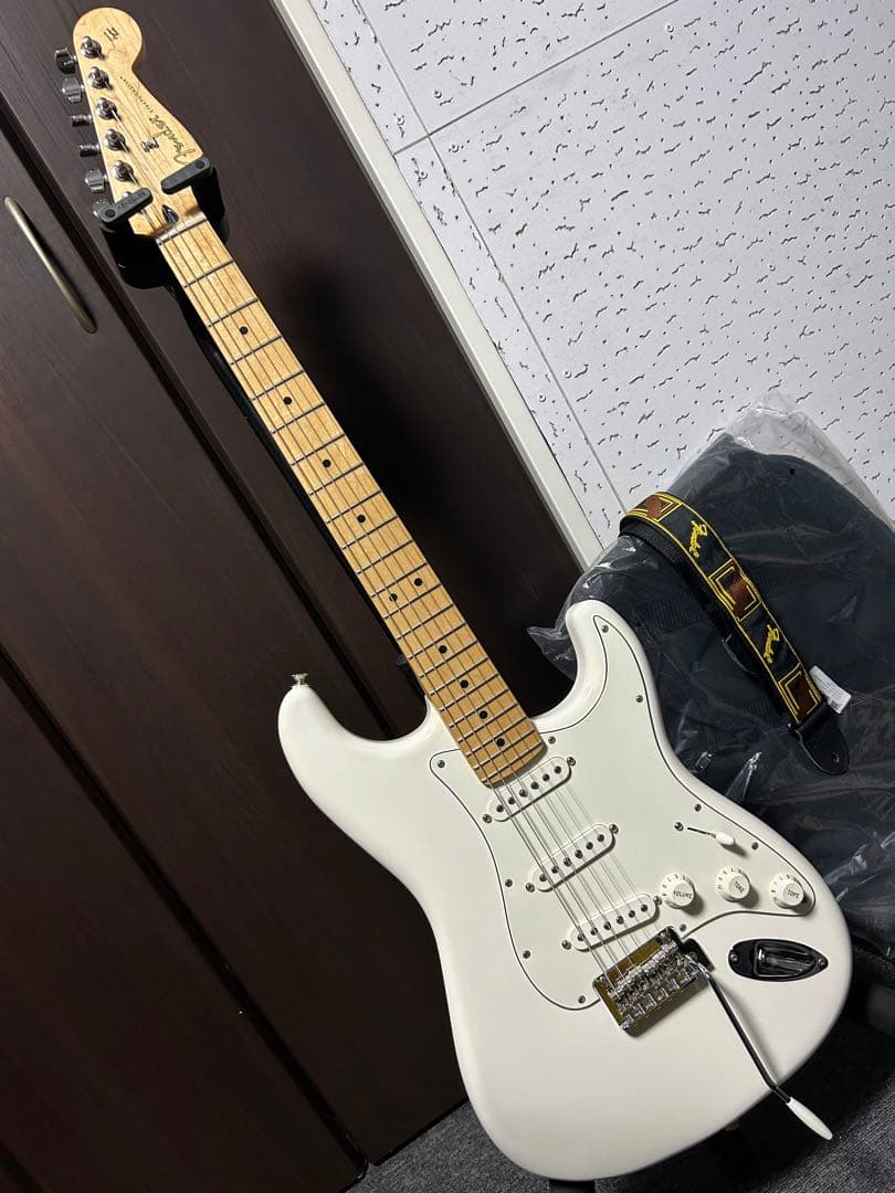 ギター FENDER Player stratocaster MN PWT