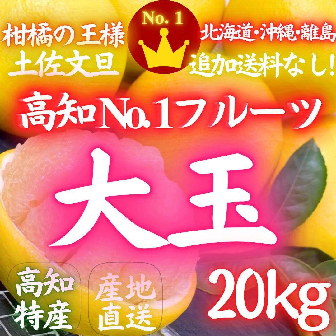22高知特産 露地栽培 土佐文旦 3L4L文旦 約20kg 大玉 サイズ