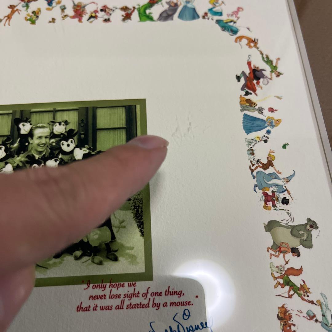 WOLT DISNEY 100周年 記念 250枚 シリアル入