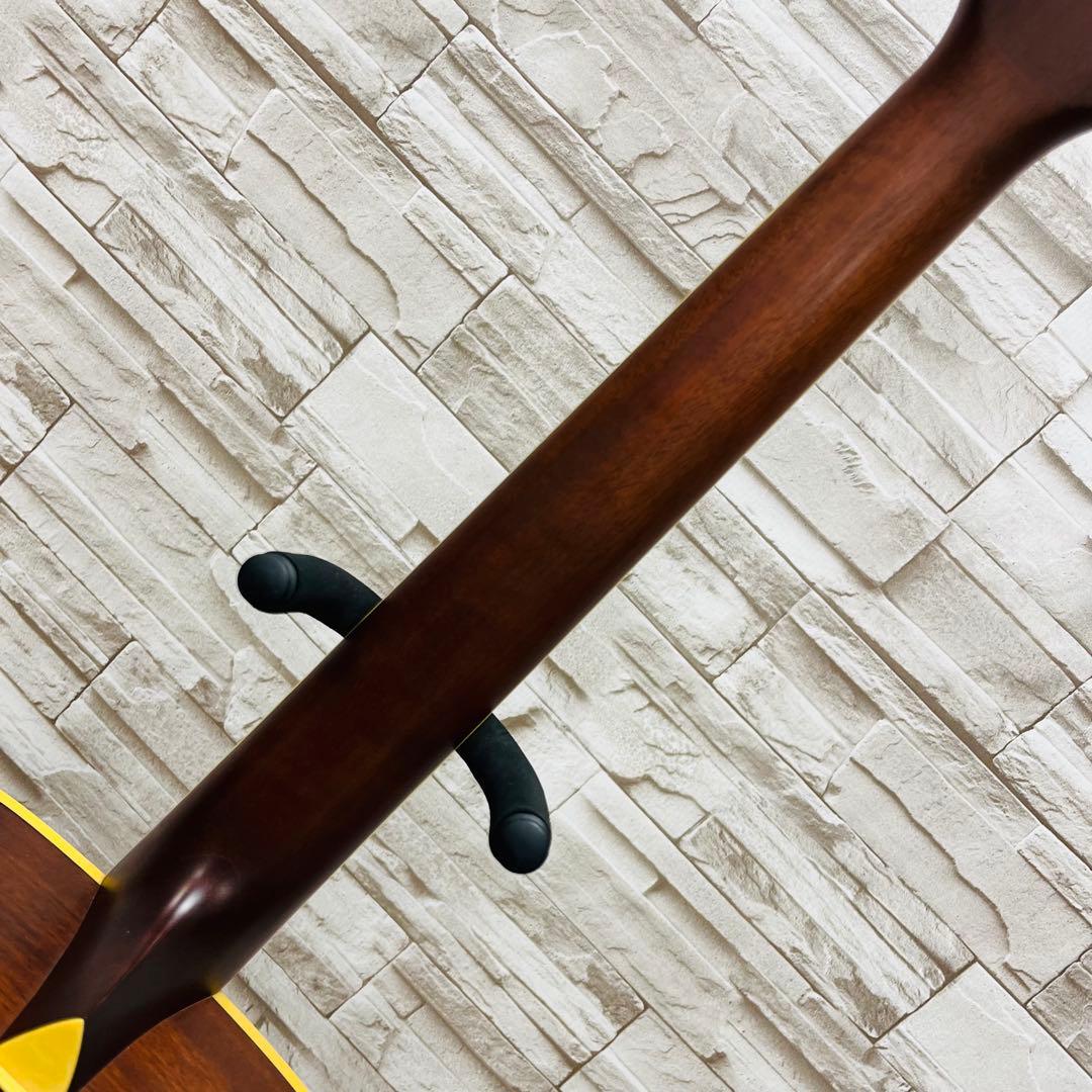 Ibanez アコースティックギター Artwood AC50MH-RLG