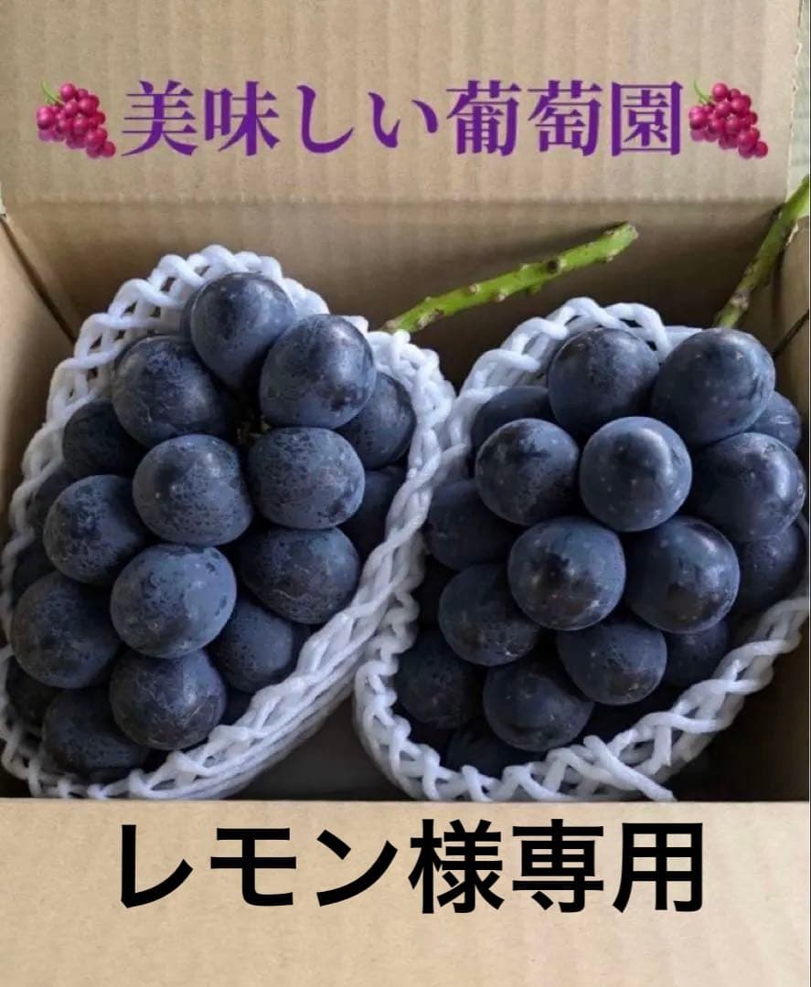 レモンナガノパープル2房×2箱