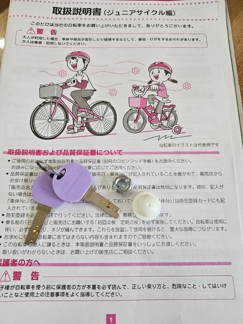 秋田市限定　２２インチ自転車 ブリジストン　リコリーナ　ミントグリーン