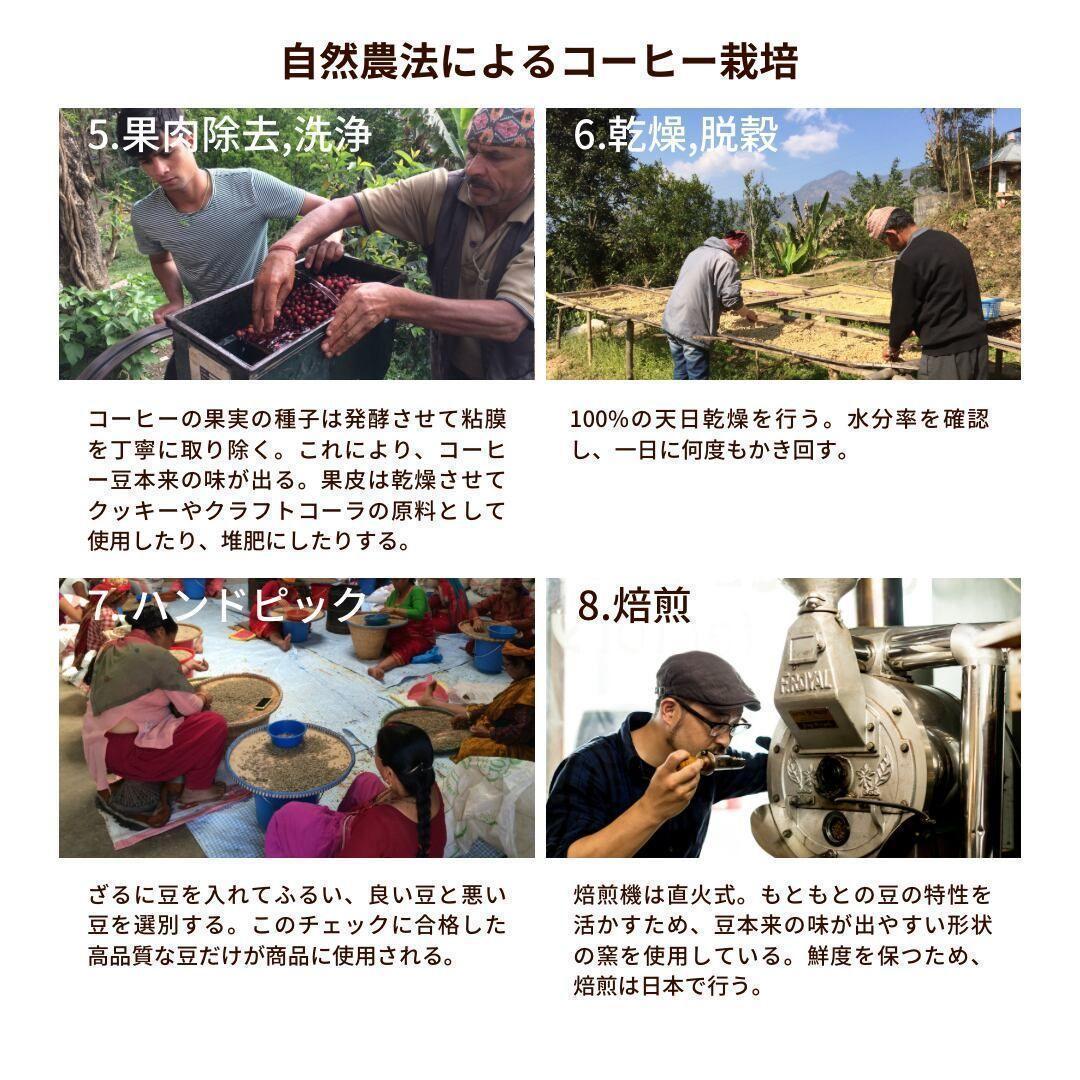 ☆オーガニックコーヒー ライト フェアトレード 1kg 粉 コーヒー豆 ネパール