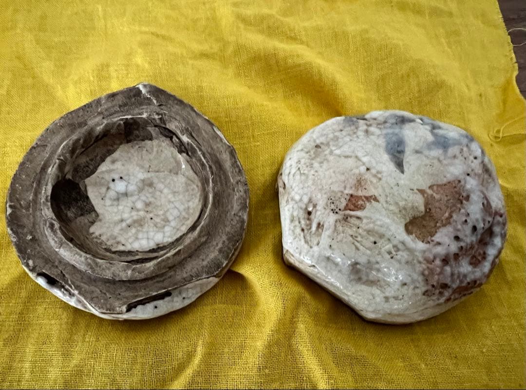 茶道具 志野焼 絵志野 香合(花押有)箱付き 箱書有 江戸千家 如心斎 弧峰