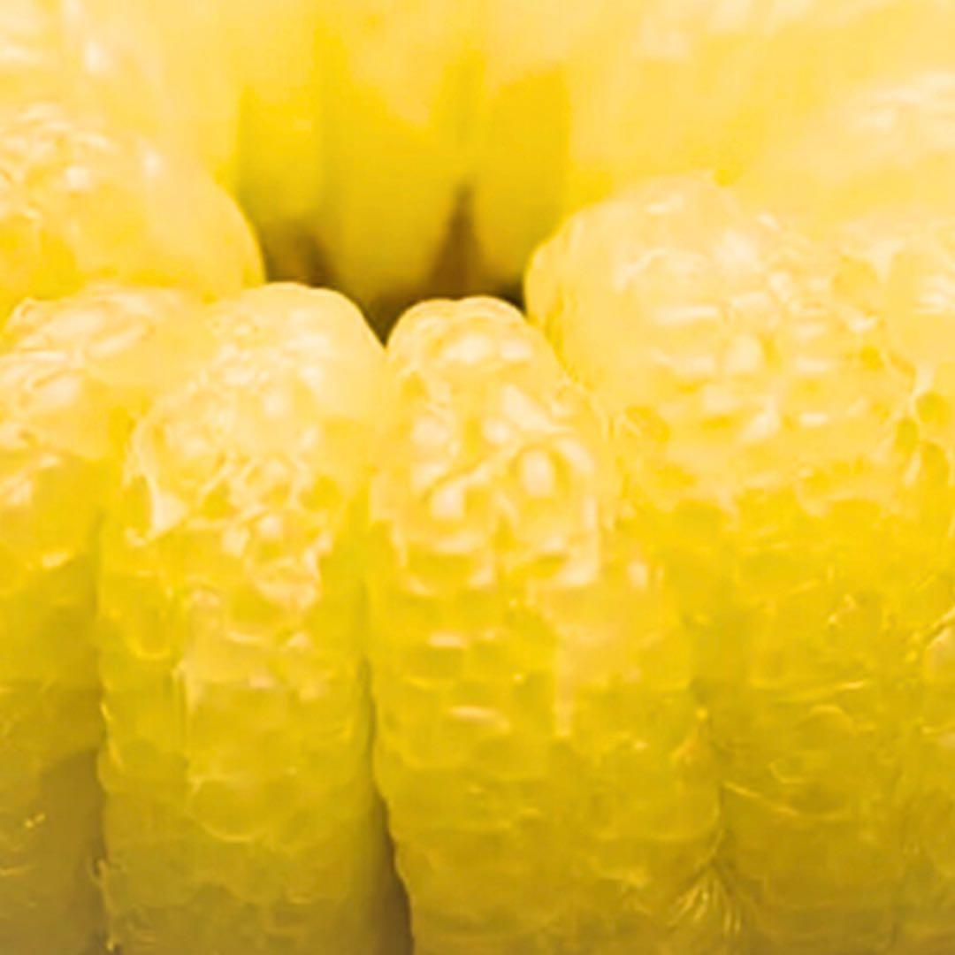 文旦　水晶文旦　みかん　好きに　　62