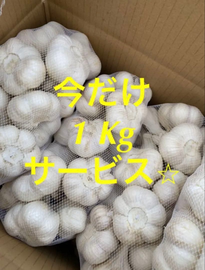 新物　青森県にんにく6キロＬ