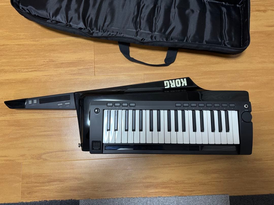 と*ん様 KORG RK-100S 専用ケース付き