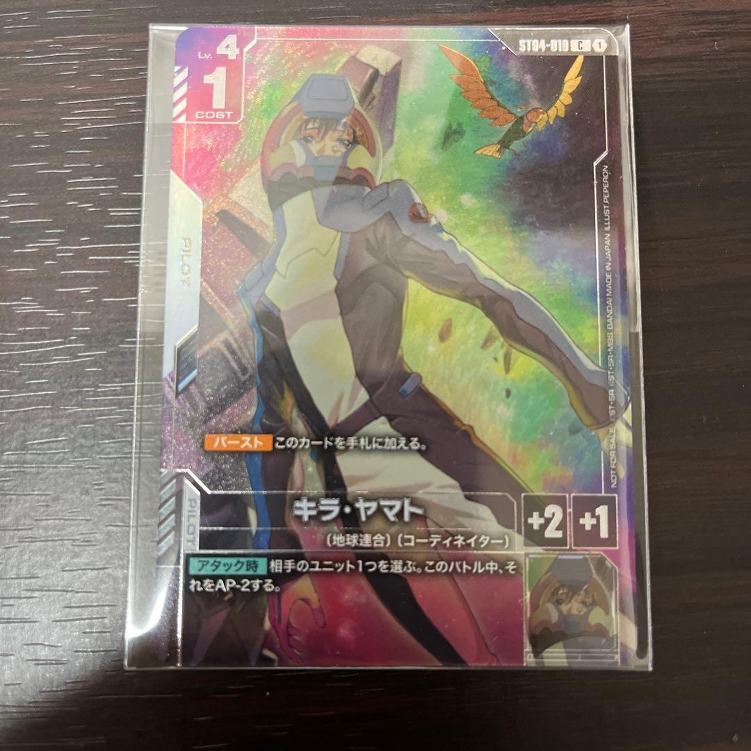 キラ・ヤマト　ニュータイプチャレンジ　プロモ