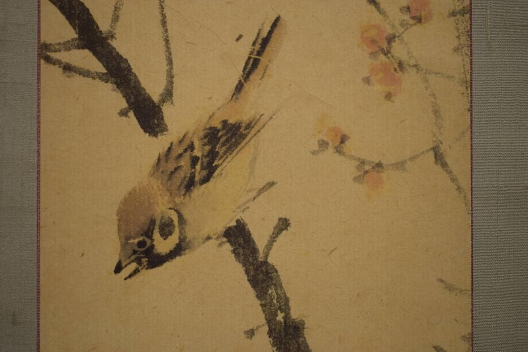 真作/備後福山生/羽田桂舟/紅梅雀図/布袋屋掛軸HI-680