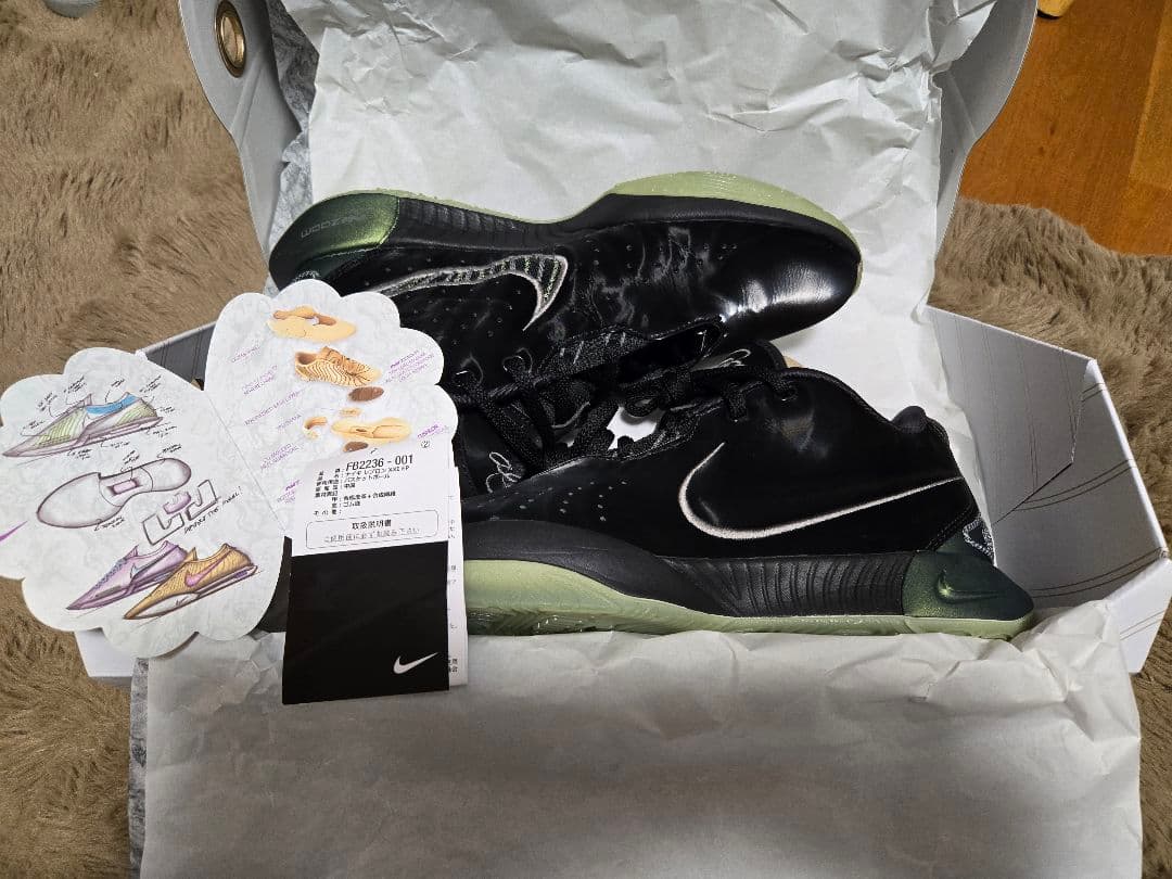 NIKE　レブロン21 EP Tahitian 27.0 LEBRON