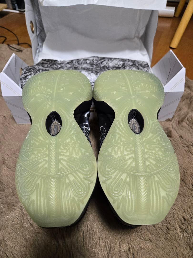 NIKE　レブロン21 EP Tahitian 27.0 LEBRON