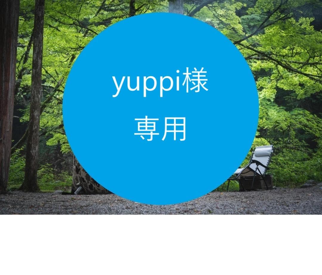 【アウトレット】AMBER テントサウナ 本体 ４人用 GOOUT コラボモデル