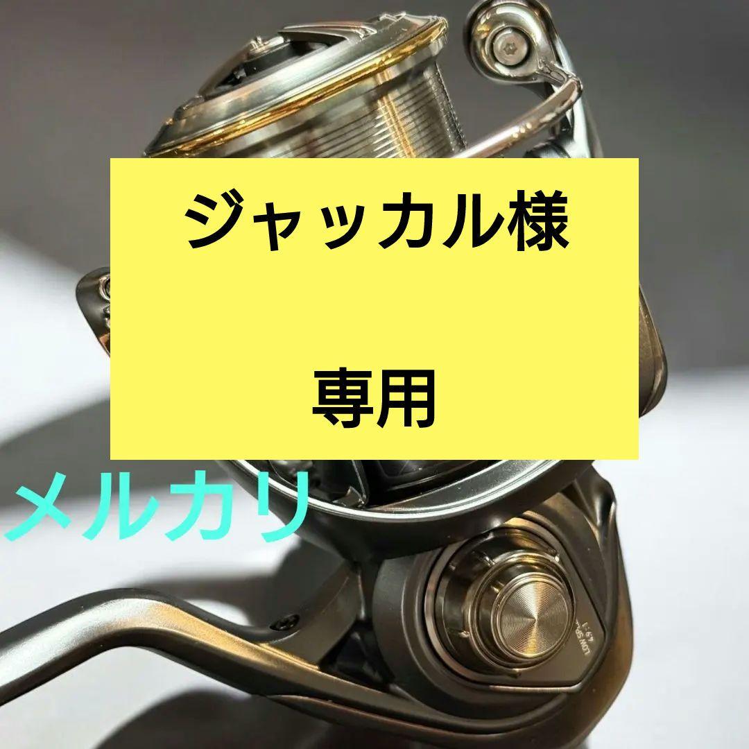 ダイワ 23エアリティ LT2000S-P レビテーションエンジニアリング