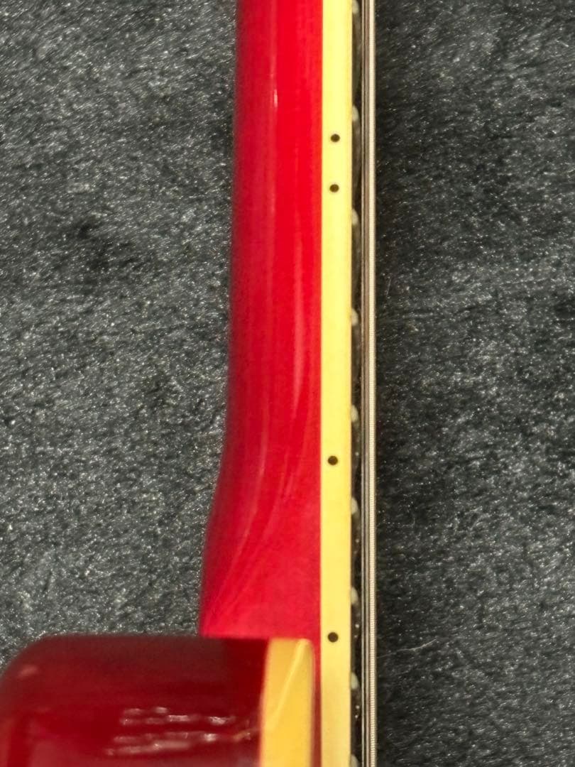 Burny モッキンバード メイプルトップ/マホバック 限定スポット生産品ＭＧ