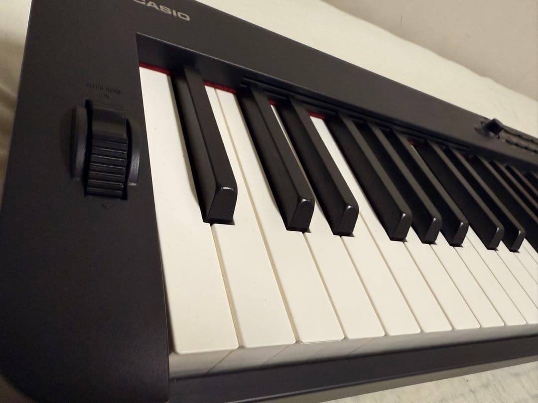 CASIO CDP-S300 電子ピアノ 88鍵盤 バッグ付(値下げ可能です)