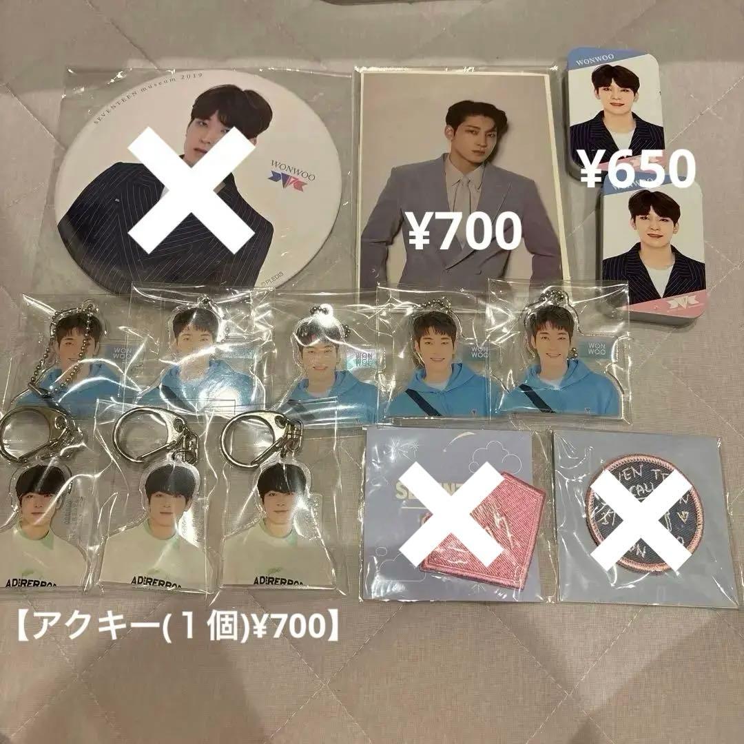 SEVENTEEN ウォヌ グッズ【バラ売り】