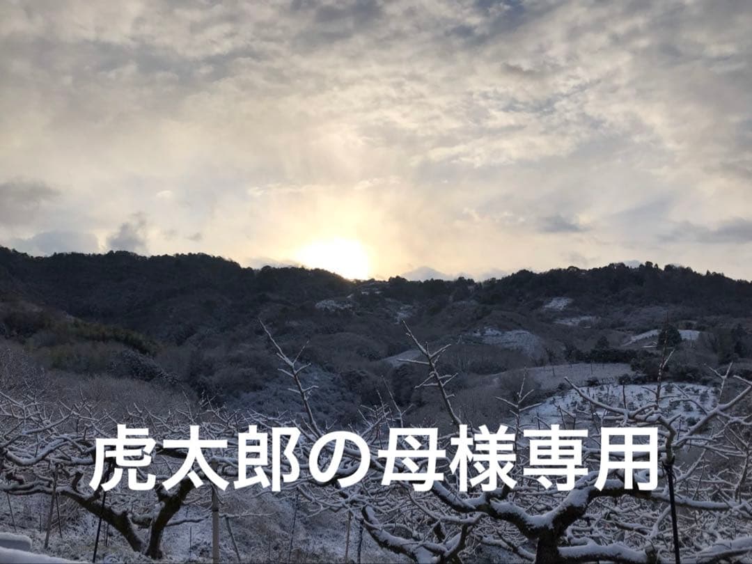 虎太郎の母　和田果樹園の果物　10kg ✖️2箱