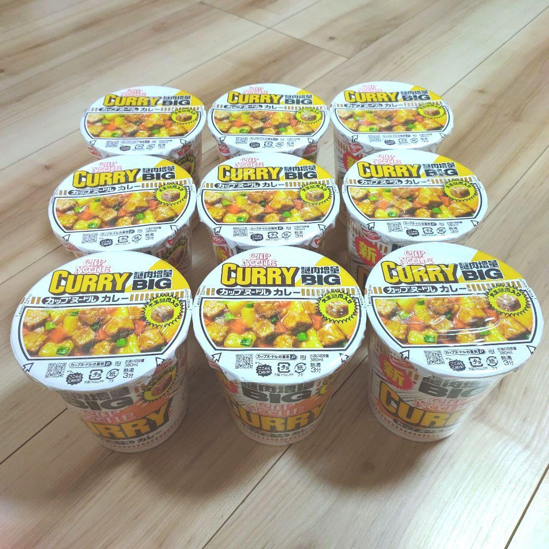 日清 新カップヌードルBIG 31個 まとめ売りカレーメシ 5個