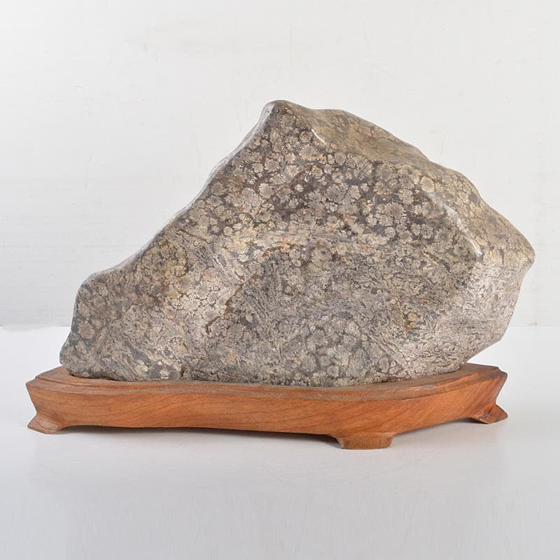 鑑賞石　天然石　梅花石　置物　重さ約10㎏　唐木台付　C 6361C
