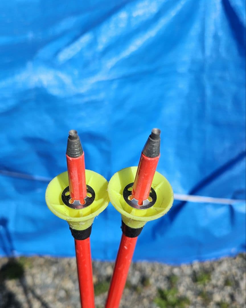 LEKI スキーストック