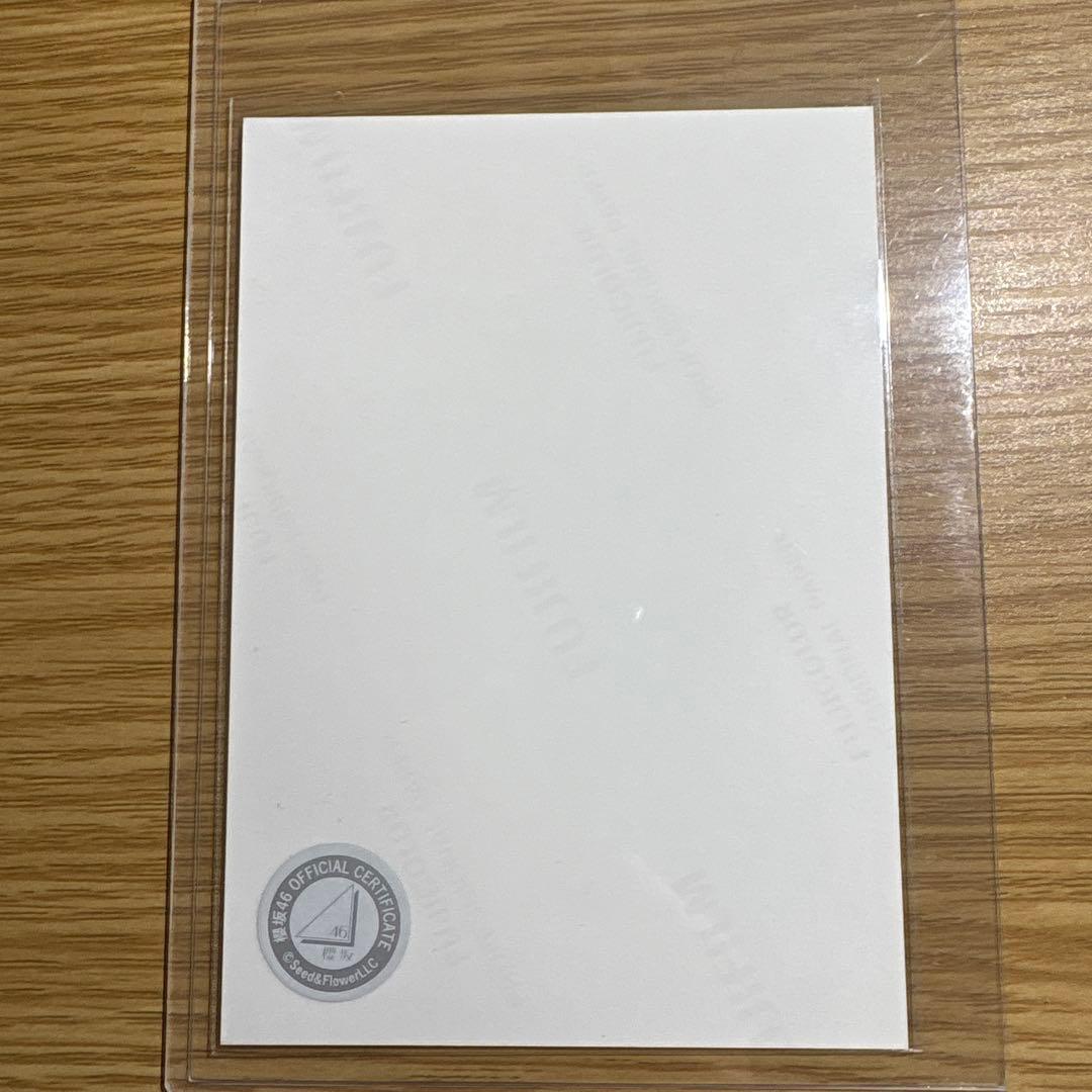 櫻坂46 中嶋優月　生写真　直筆サイン　メッセージ付き　2024クリスマスサンタ