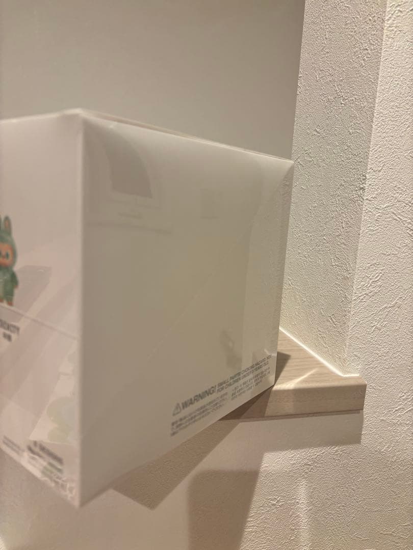 専用　ラブブ Big into Energy アソート10ボックス