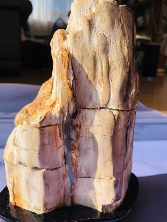 木化石（重さ2120克）珪化木鑑賞石 景石 天然石 台付き 銘石 （2点セット）