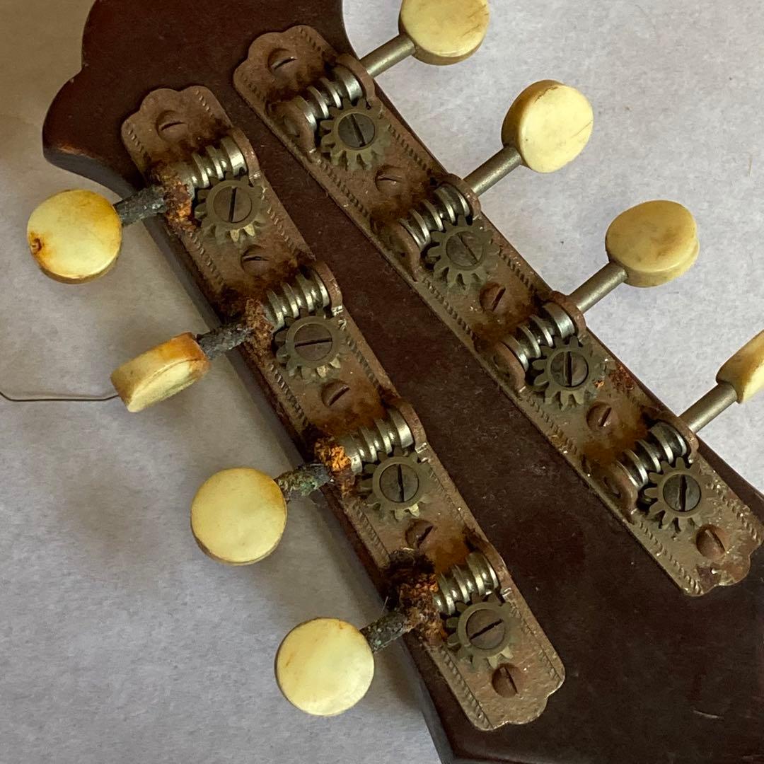 マンドリン　SUZUKI