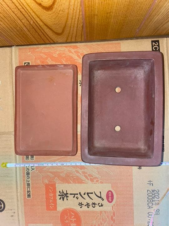 最終価格　中国　中国宜興　植木鉢　盆栽