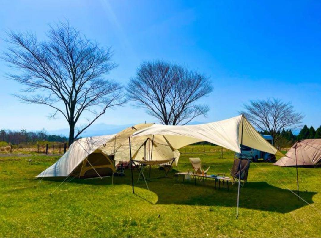 【スノピポール付き】ヘキサエヴォ Pro アイボリー 正規品 美品 ケース付き