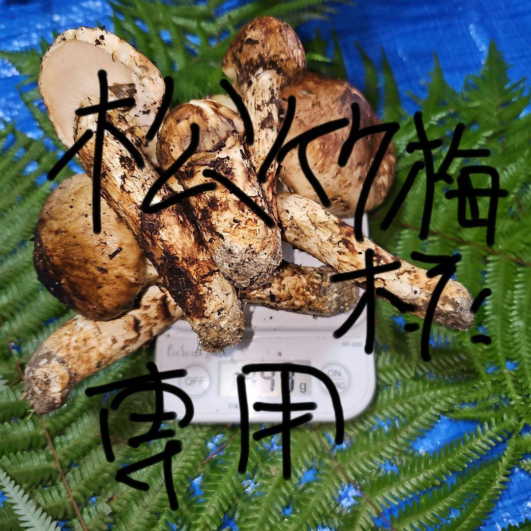 広島県産 松茸 343g　松竹梅さま専用