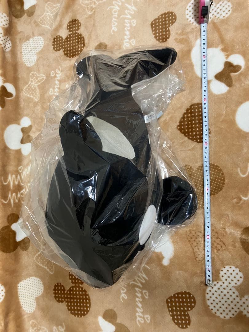 須磨シーオルカくじ1等&2等！