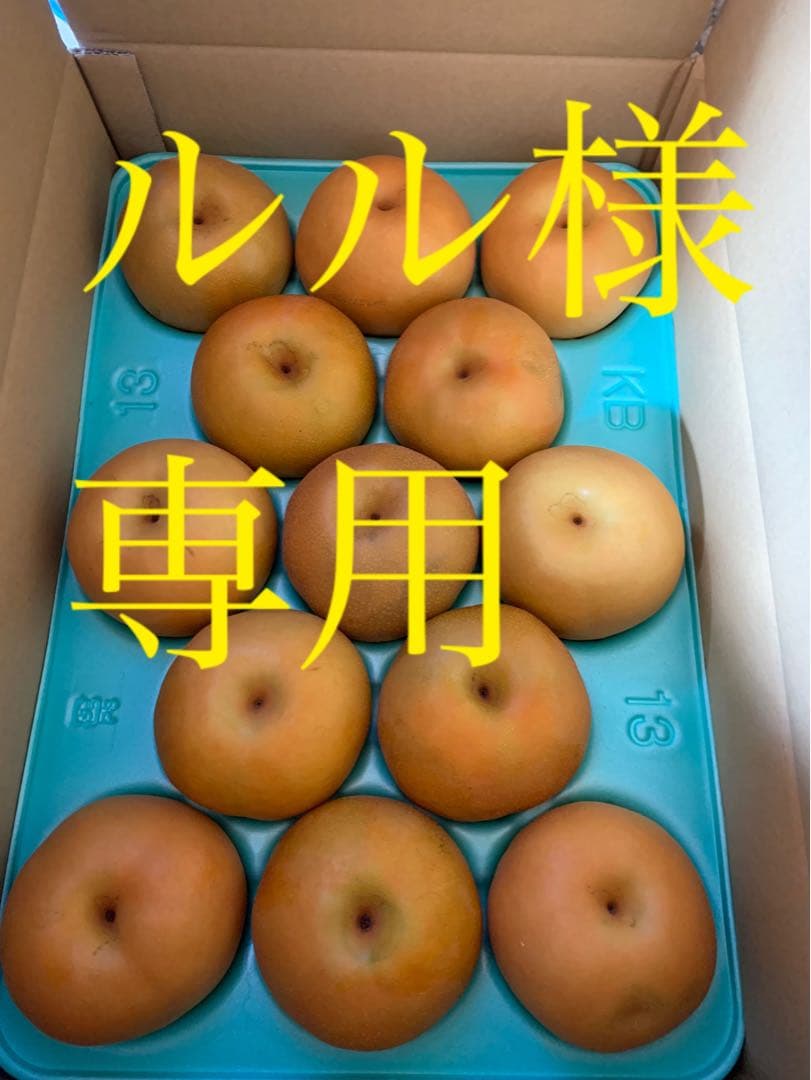 ルル　南水　梨　10キロ　家庭用
