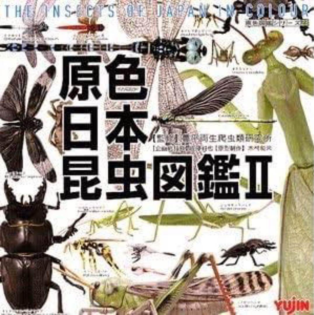 原色日本昆虫図鑑Ⅱ