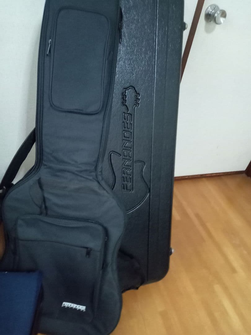 FERNANDES TEJ DELUXE 2S　純正ハードケース付き