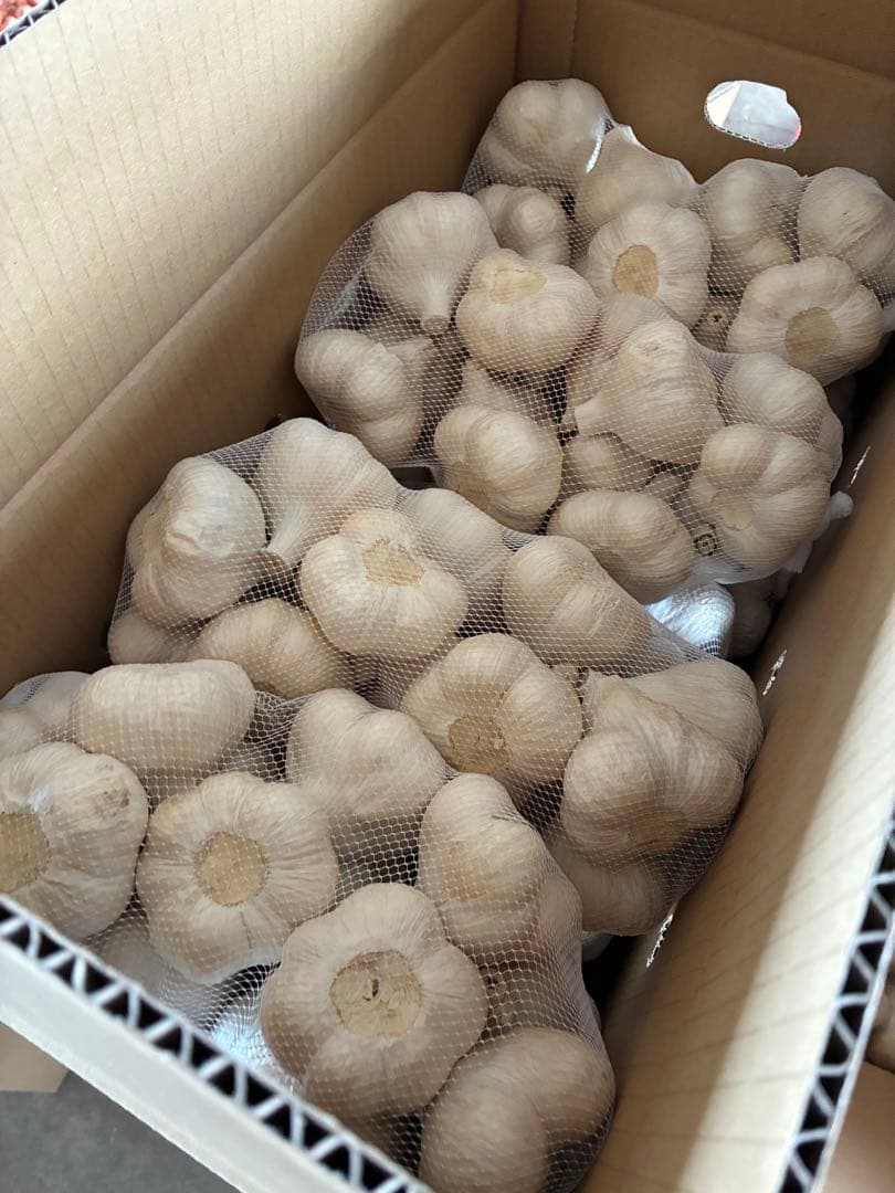 新物　青森県にんにく10Kg Ｌ良品