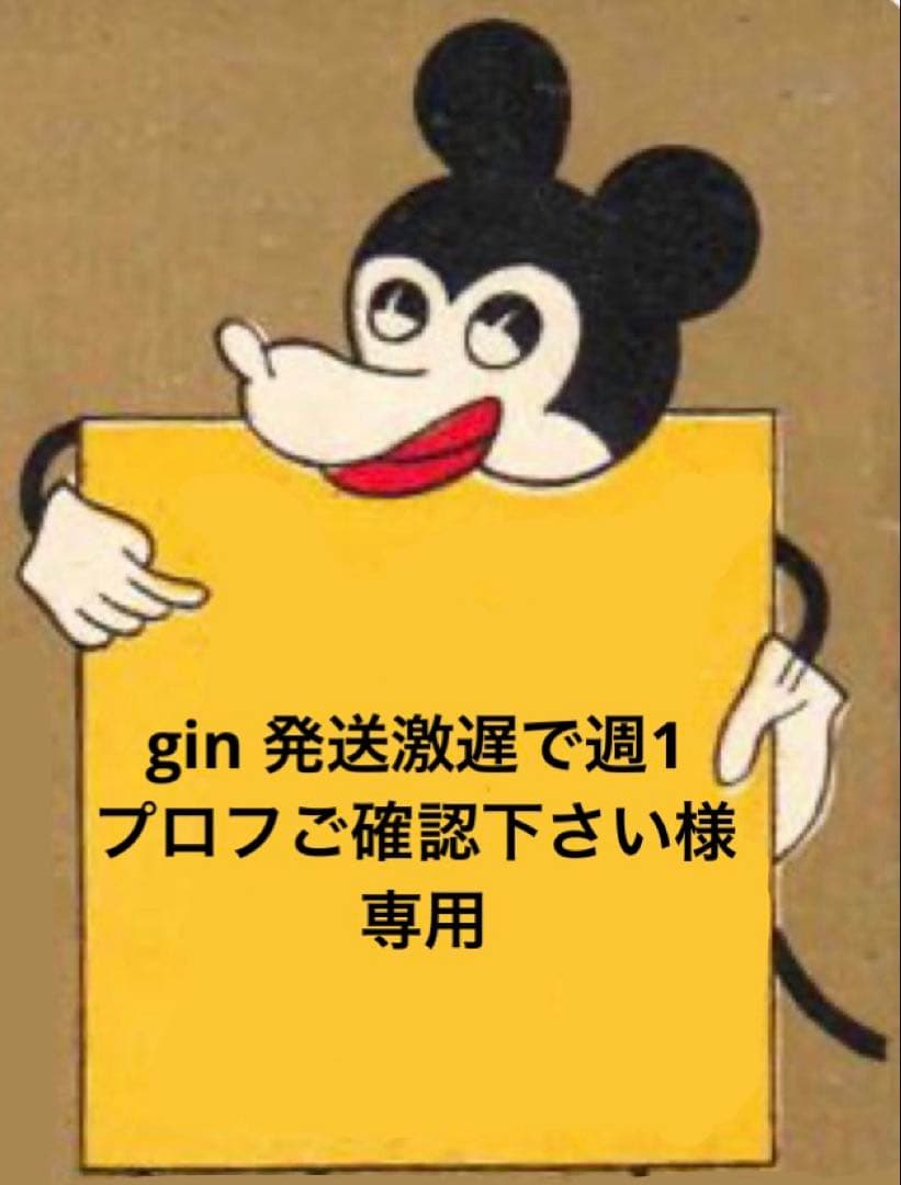 gin 発送激遅で週1プロフご確認下さい様☆専用