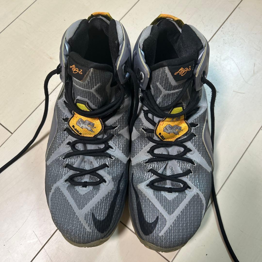 激レア　Nike レブロンモデル　レブロン12 バッシュ 27.5cm