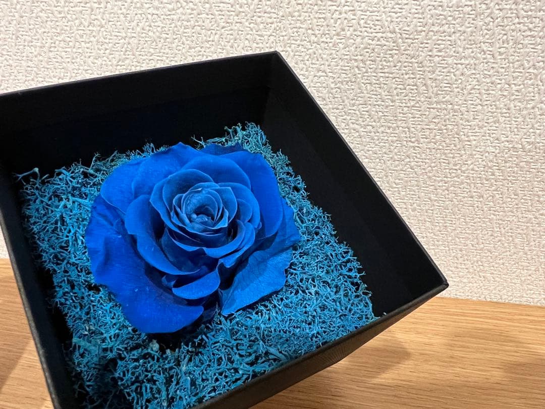 Ado SPECIAL LIVE 2024 グッズ セット