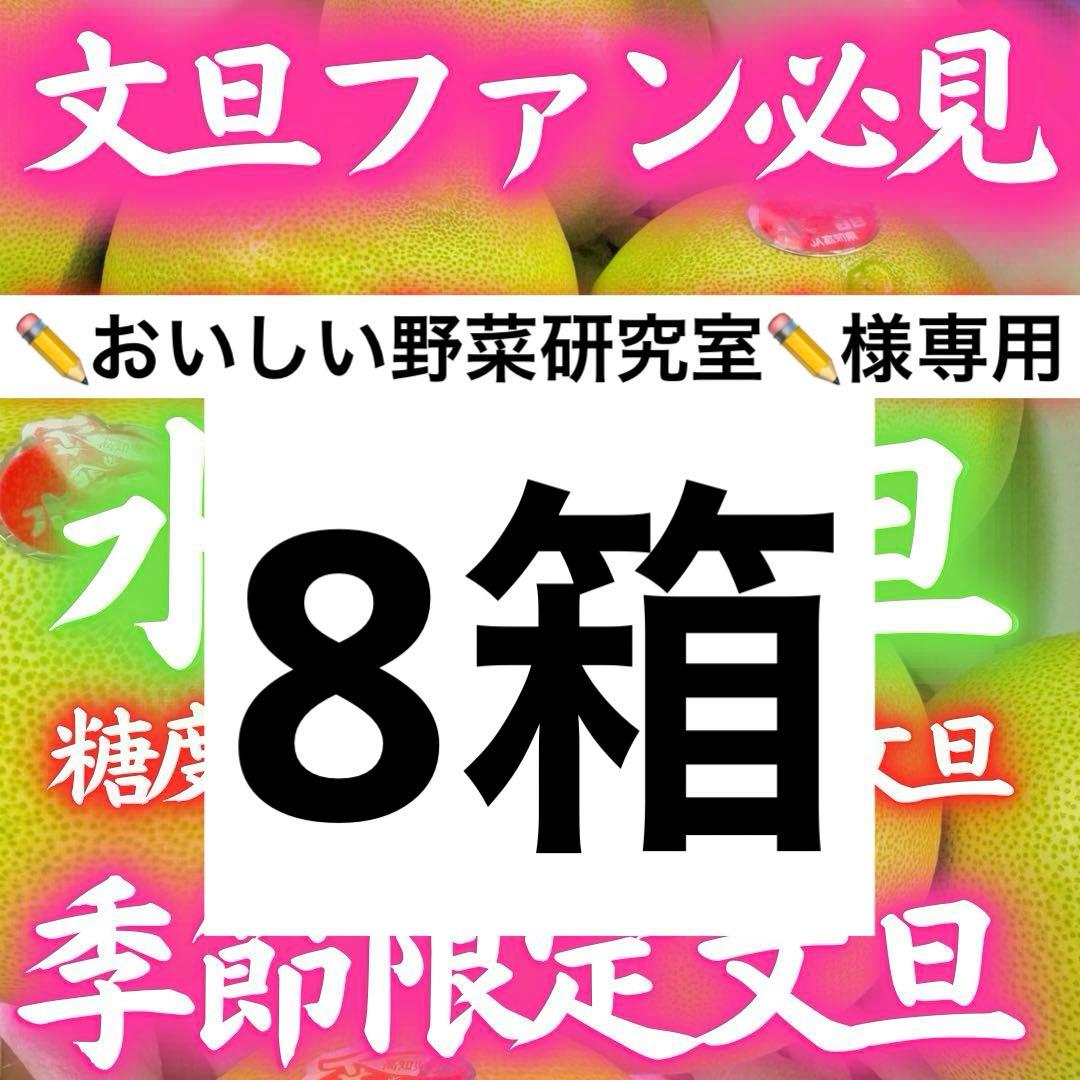 01高知特産 水晶文旦 8～6玉入 約3kg ×8箱 文旦 産地直送 送料無料