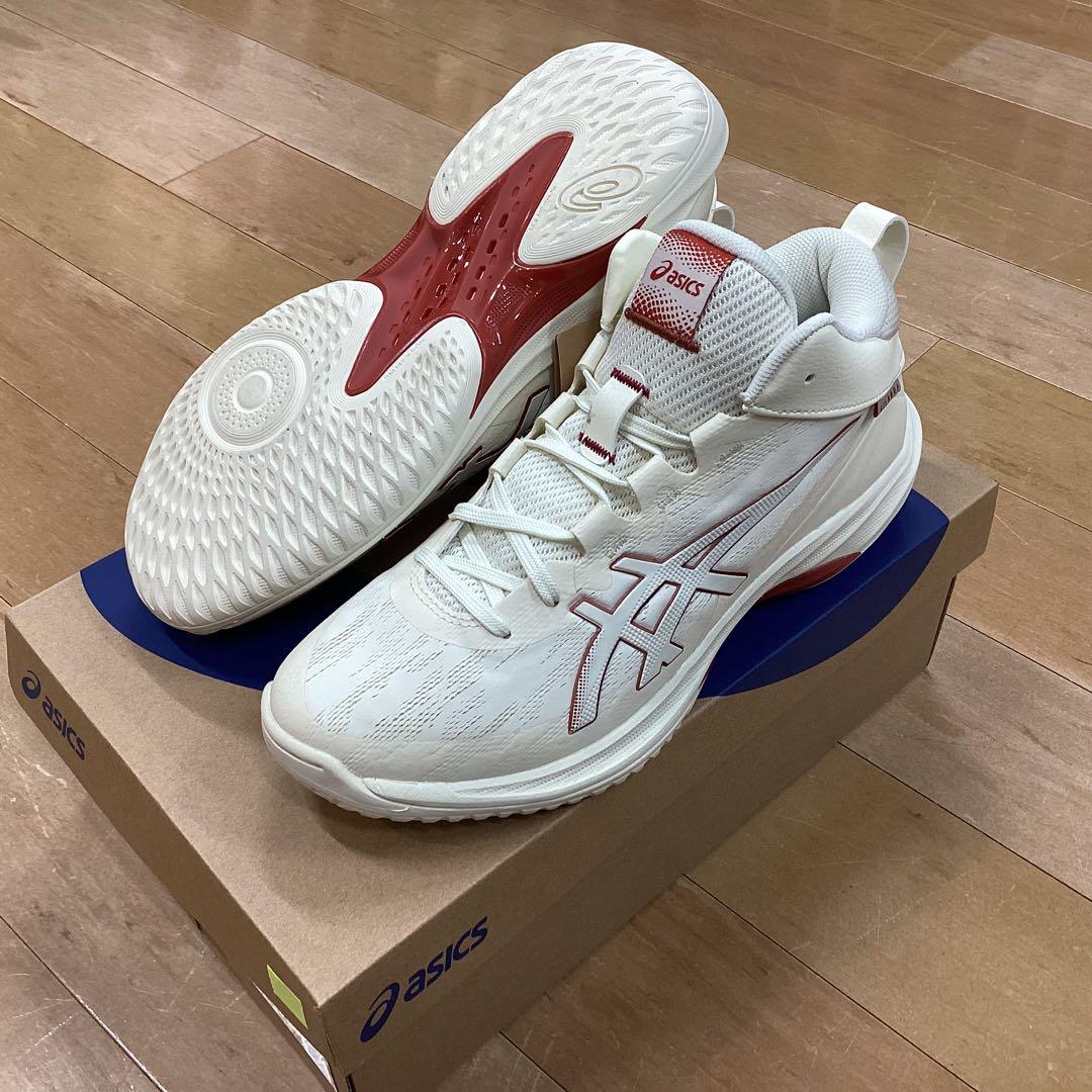 シューズ(男性用) GELHOOP V17 750 28.5cm