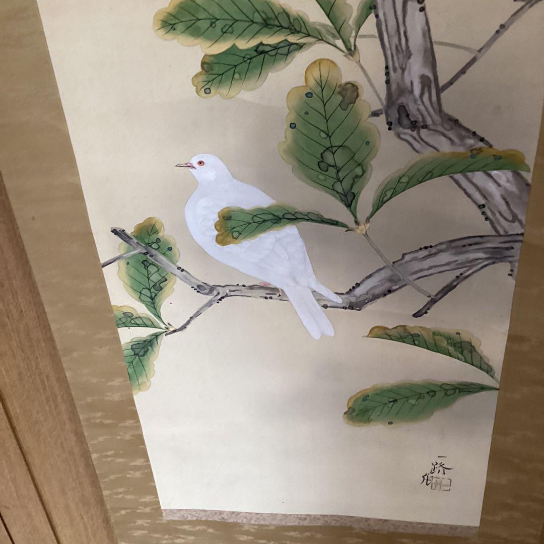 武田一路筆　彩色花鳥画　【　銀　鳩　図　】　肉筆　自題箱　　絹本掛軸一幅　509
